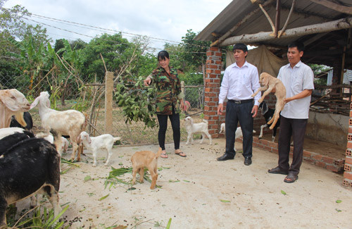 nong dan duoc ho tro von, tin dung den... het cua hinh anh 2