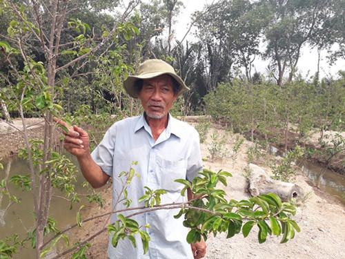 nong dan mien tay mat ca “niem hy vong cuoi” vi han, man hinh anh 1