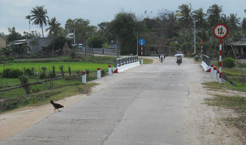 Nông dân Phù Cát góp sức xây dựng nông thôn mới