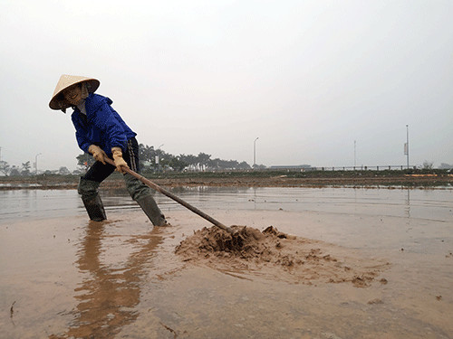 nong dan thu do loi mua ret lay nuoc ve dong hinh anh 2