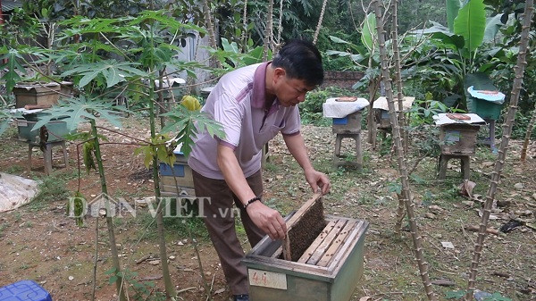 Nuôi 1 triệu con ví như "cảm tử quân", 1 nông dân xứ Mường phát tài1