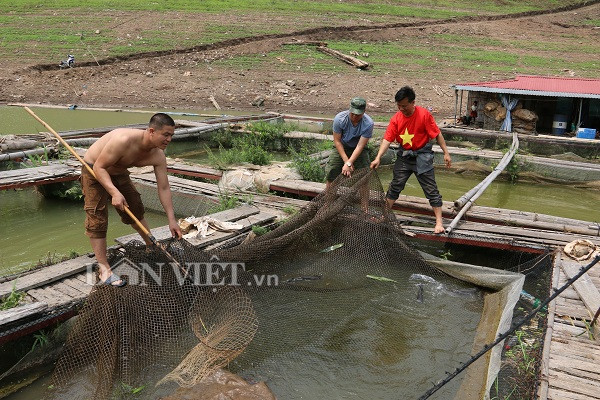 nuoi ca tram den tren ho song da, lon con nao lai tranh mua con do hinh anh 2