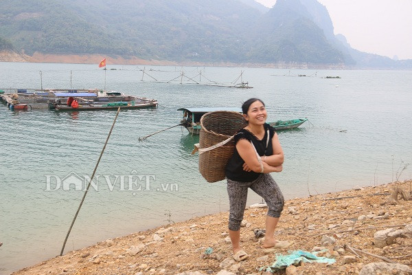 nuoi ca tram khung an co o ho thuy dien, cu ban 1 con co nua trieu hinh anh 5