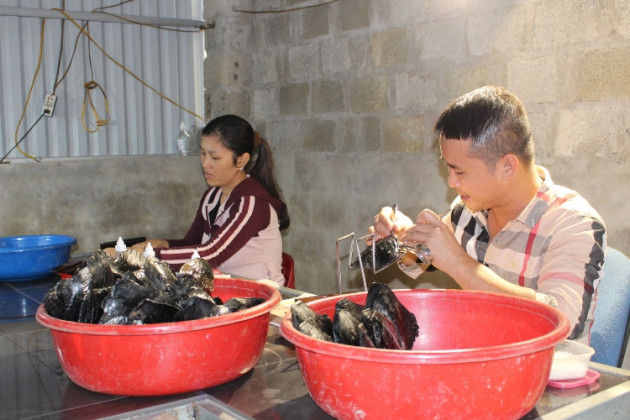 nuoi con nam im lim duoi ao, nha "mo trung", ban dat nhu vang hinh anh 1