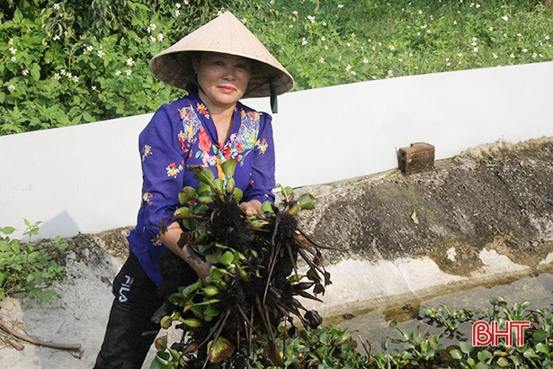 nuoi cua dong ngon trong ao beo tay, bat ca tan, ban 90-110 ngan/kg hinh anh 5