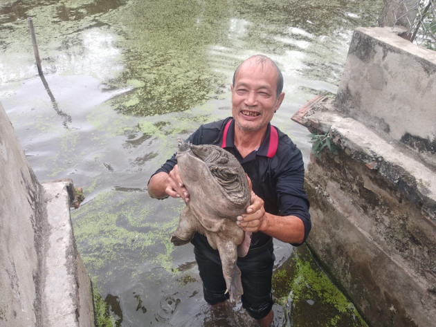 Nuôi đàn ba ba to "đến phát khiếp", lão nông này thành tỷ phú