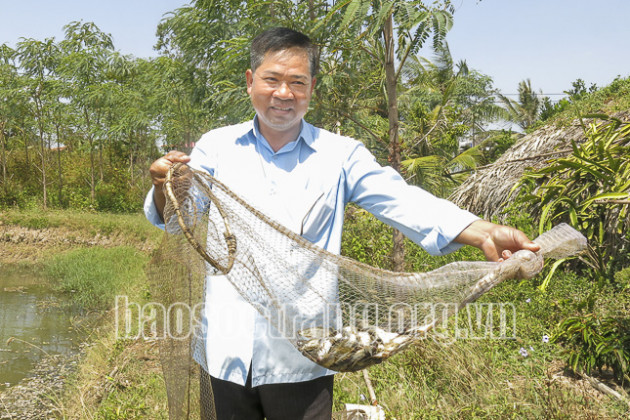 nuoi loai ca chot ma mot nong dan soc trang "hot bac" thoi han man hinh anh 1