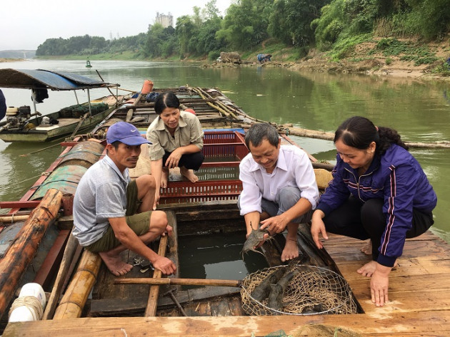 Nuôi loài cá da xù xì, trước kêu là "thủy quái", dân ở đây đổi đời