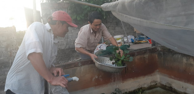 nuoi loai co tho ra rut vao, lung bong nhay, mot von bon loi hinh anh 4