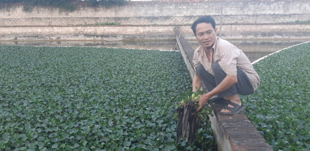 nuoi loai co tho ra rut vao, lung bong nhay, mot von bon loi hinh anh 5