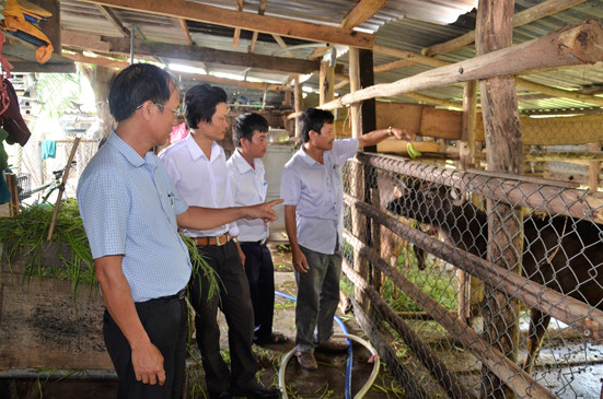 nuoi loai thu khong phai la huou, van cat nhung ban dat tien hinh anh 3