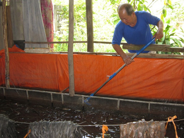 nuoi luon dong day dac, be 20m2 thu toi 8 ta luon thit hinh anh 1