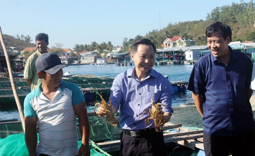 Nuôi tôm hùm bán giá 2 triệu/kg, thu nhập “khủng” nhờ bí kíp này