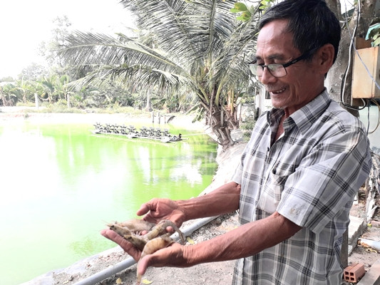 nuoi tom to, ca tra bu o ho bom, dan song khoe re giua thoi han man hinh anh 1