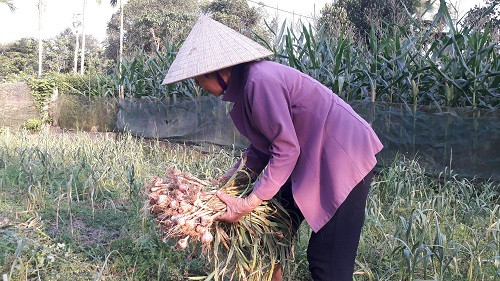 o day, ca lang trong toi, toi mua chi viec dem cu tinh tien hinh anh 3