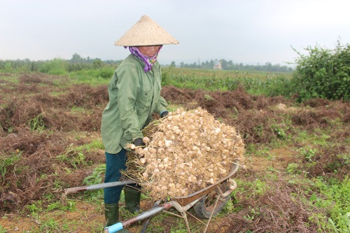 o day, ca lang trong toi, toi mua chi viec dem cu tinh tien hinh anh 5