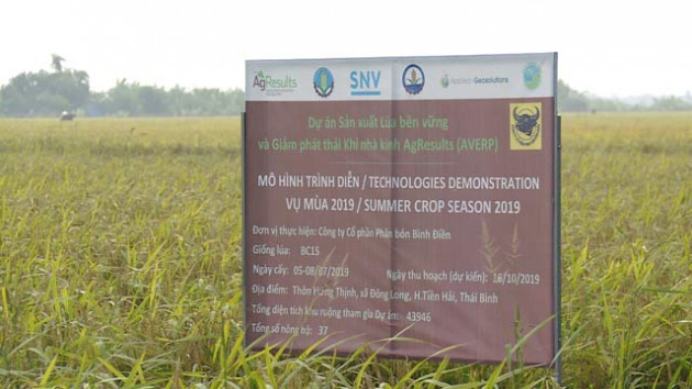 phan bon binh dien tham gia du an “san xuat lua ben vung va giam phat thai khí nha kính agresults” hinh anh 2