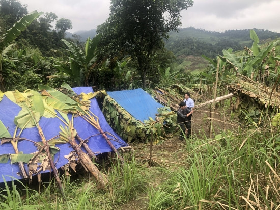 quang binh: vao rung khong phai tranh dich covid-19 ma dan o day lam viec nay hinh anh 2