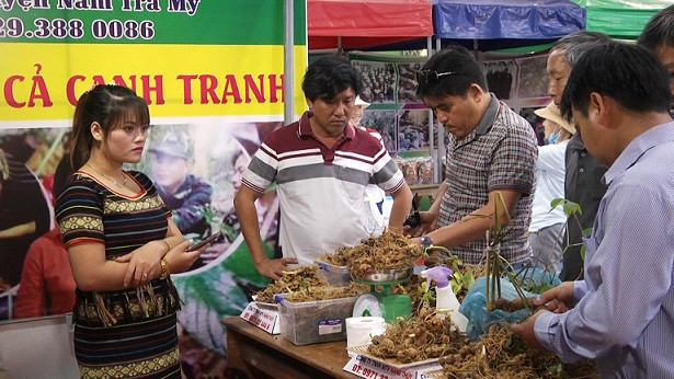 Quảng Nam: Bán sâm Ngọc Linh qua mạng xã hội vì dịch Covid-19