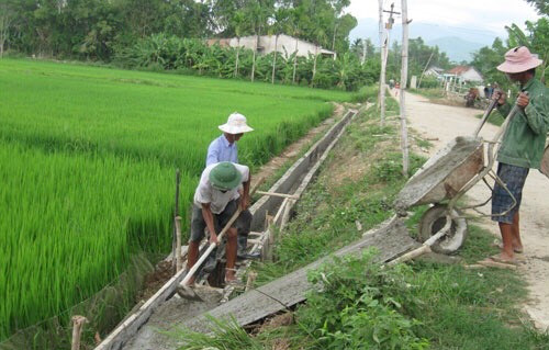 Quảng Nam: Nhiều hợp tác xã "lột xác", doanh thu hàng tỷ đồng/năm