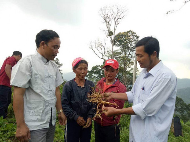 quang nam: trien vong moi trong thu hut dau tu vao linh vuc nong nghiep hinh anh 2