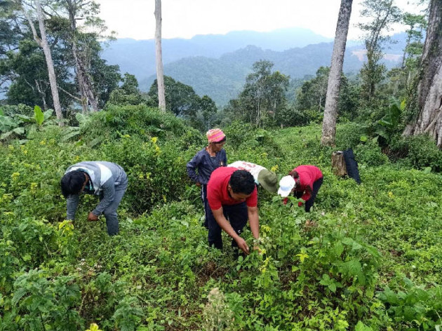 quang nam: trien vong moi trong thu hut dau tu vao linh vuc nong nghiep hinh anh 5