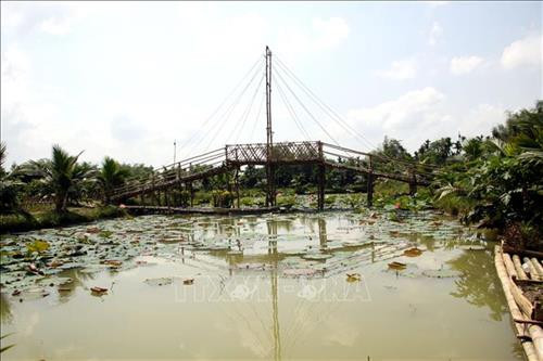 quang nam: trong nhung cay mit ra trai to bu, ai cung thich mua hinh anh 3