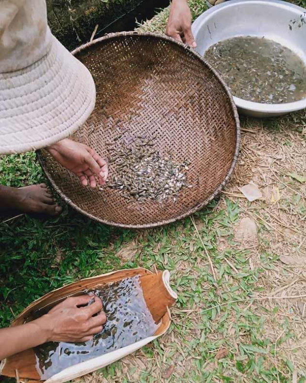 quang ngai: nhin thi ghe nhung la dac san chi danh dai khach quy hinh anh 5