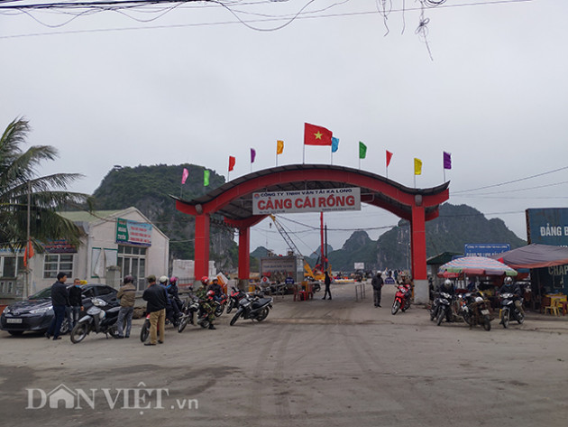 Quảng Ninh: Dân nuôi ngao, hàu nín thở chờ hết dịch virus Corona