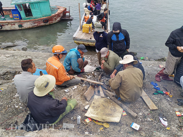 quang ninh: dan nuoi ngao, hau nin tho cho het dich virus corona hinh anh 2