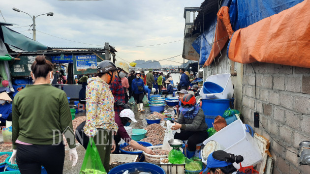 quang ninh: tap nap cho ca tuoi roi, vao mua ban phai do than nhiet hinh anh 2