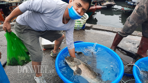 quang ninh: tap nap cho ca tuoi roi, vao mua ban phai do than nhiet hinh anh 3