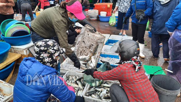 quang ninh: tap nap cho ca tuoi roi, vao mua ban phai do than nhiet hinh anh 4