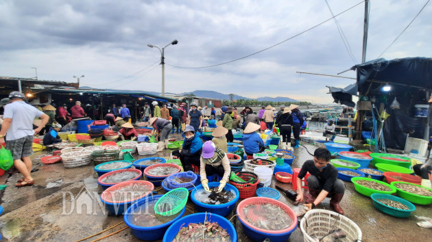 quang ninh: tap nap cho ca tuoi roi, vao mua ban phai do than nhiet hinh anh 5