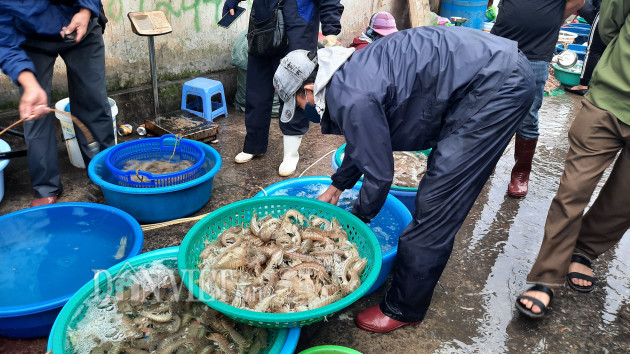 quang ninh: tap nap cho ca tuoi roi, vao mua ban phai do than nhiet hinh anh 6