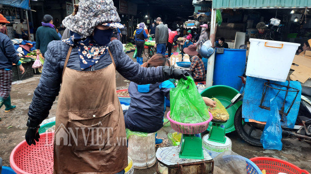 quang ninh: tap nap cho ca tuoi roi, vao mua ban phai do than nhiet hinh anh 8