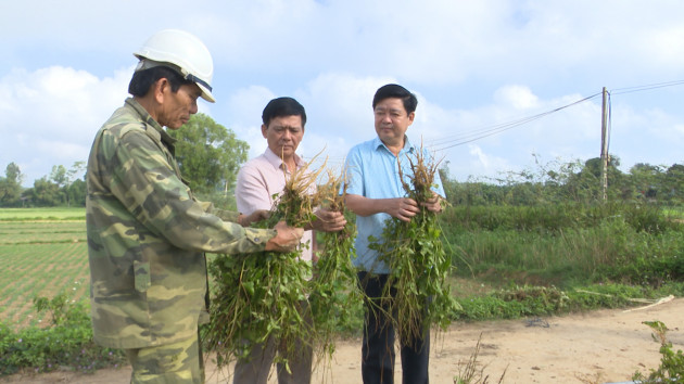 quang tri co huyen nong thon moi dau tien hinh anh 1