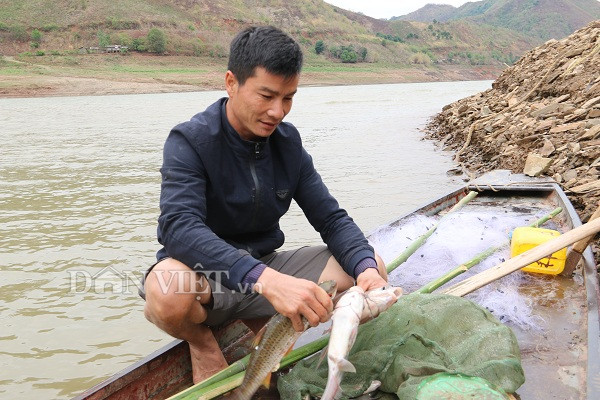 quanh nam lam ban voi "ha ba" song da, bat duoc toan ca ngon hinh anh 2