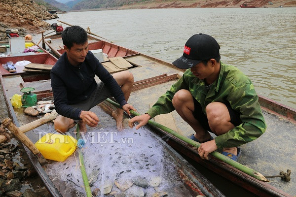 quanh nam lam ban voi "ha ba" song da, bat duoc toan ca ngon hinh anh 3