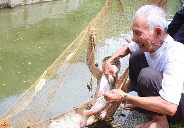 quy ho tro nong dan “tiep suc” giup nong dan lam giau hinh anh 2