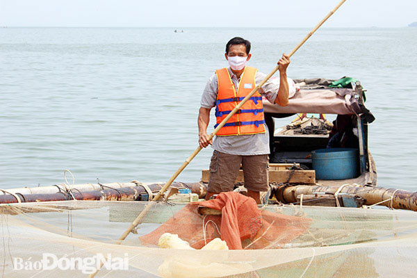 ra ho thuy dien tri an san loai ca lim kim, bat duoc vai chuc ky hinh anh 1