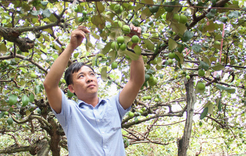 Rà soát hội viên “ảo”, nâng chất phong trào nông dân