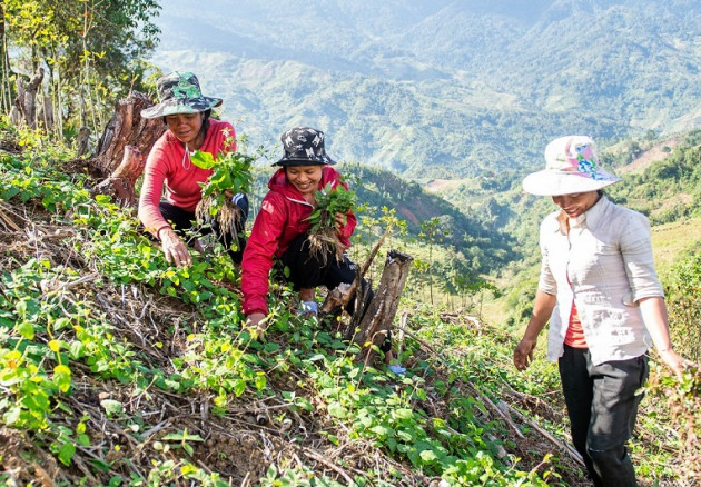 ru nhau len nui trong thu sam nay, ban duoc ca cu lan la hinh anh 1