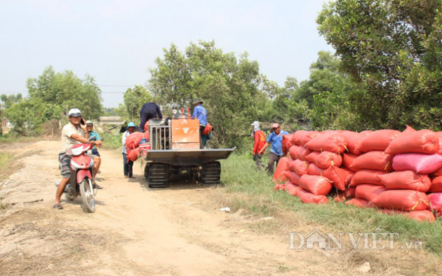 sau de xuat tiep tuc xuat khau gao: thi truong lua gao lai soi dong hinh anh 2