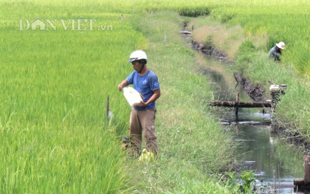 sau thoi gian trong ghe, hiep hoi luong thuc vfa co chu tich moi hinh anh 3