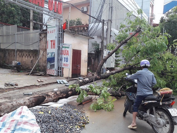 son la: mua da, dong loc kinh hoang, nuoc mat hoa nuoc mua hinh anh 5