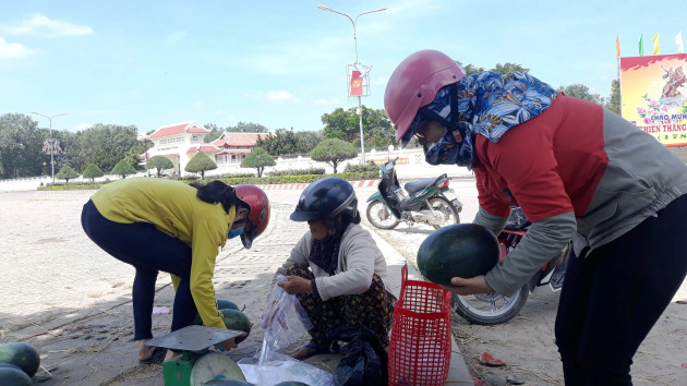 tac khong tieu thu duoc dua hau, nong dan binh dinh tu di tiep thi hinh anh 6