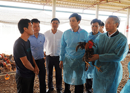 tang truong nong nghiep giu 2,9-3%: tang chan nuoi, giam trong trot hinh anh 1