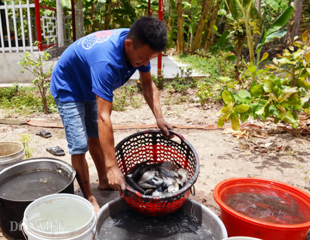 tat dia mien tay, ca tuy giam nhieu nhung khong khi luon tuyet voi hinh anh 3