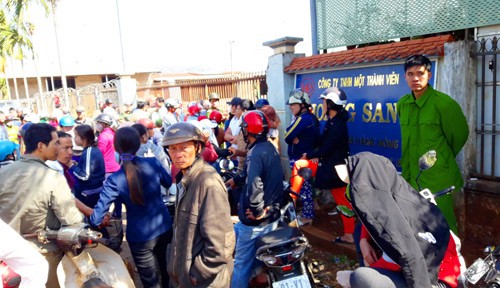 Tây Nguyên có nguy cơ vỡ nợ nông sản dây chuyền, nông dân lo lâm nợ